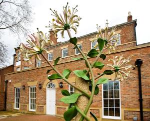 a plant with flowers in front of a brick building at Houndgate Townhouse in Darlington