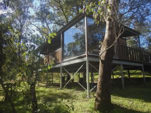 a house with glass walls and a tree at Barrabup Sanctuary BirdHide in Nannup