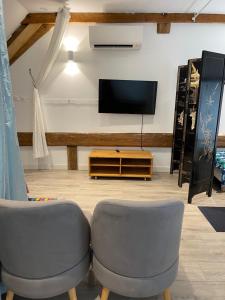 two gray chairs in a living room with a tv at Domaine Ravy-La Camélia in Saint-Symphorien-sur-Saône