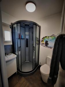 a bathroom with a shower and a toilet at La Maison du Chemin des Prairies in Morières-lès-Avignon