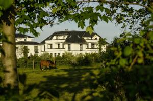een paard dat graast in een veld voor een huis bij Villa Namenlos in Börgerende-Rethwisch