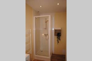 ein Badezimmer mit Dusche mit Glastür in der Unterkunft Appartement dans bâtiment du 18ème siècle in Argentan