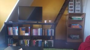 a book shelf with a tv and books at Haus Fink in Volkach