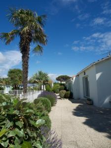 a palm tree next to a white building with a sidewalk at Le Petit Bois in Sainte-Marie-de-Ré
