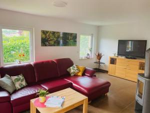 a living room with a red couch and a tv at Spreewaldferienhäuser am Deich in Lübben