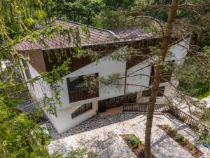 Zahrada ubytování CasaDrago Sinaia , sauna si ciubar cu apa sarata