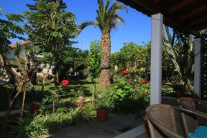 a patio with a palm tree and a garden at Alex Studios & Apartments in Arillas