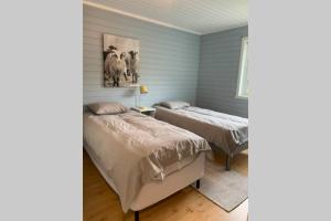 two beds in a room with blue walls at Efjord and Stetind Resort - Cabin Kobbernestinden in Ballangen