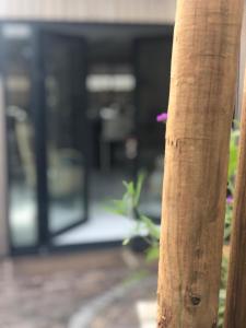 un primer plano de un árbol frente a un edificio en Appartementen Zer en Loft in centrum Bergen en Bergen