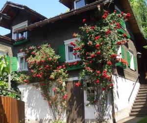 The building in which a panziókat is located