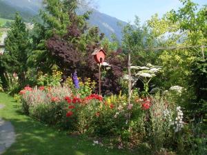 A garden outside Haus Kasimir