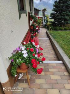 Zahrada ubytování Haus Mühlenheim