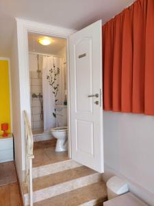 a bathroom with a toilet and a shower and a door at Soba Gracijela in Motovun