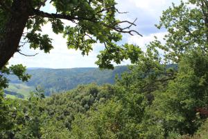 Blick auf den Wald von der Spitze eines Hügels in der Unterkunft Dorfblüte in Albstadt