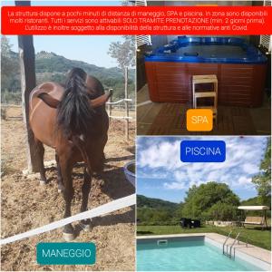 a collage of photos with a horse standing next to a pool at B&B Santa Vittoria in Monteleone Sabino