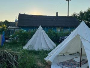 Imagen de la galería de Danube Delta Hostel Homestay & Camping, en Sulina