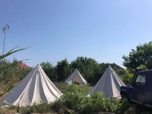 grupa namiotów na polu z ciężarówką w obiekcie Danube Delta Hostel Homestay & Camping w mieście Sulina