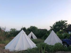 grupa namiotów na polu z ciężarówką w obiekcie Danube Delta Hostel Homestay & Camping w mieście Sulina
