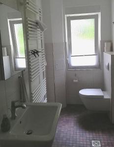 a bathroom with a sink and a toilet and two windows at Goethestraße 9 in Ballenstedt