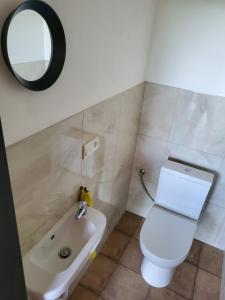 ein Badezimmer mit einem WC, einem Waschbecken und einem Spiegel in der Unterkunft RIP by Říp in Krabčice