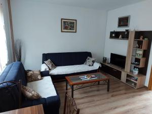 a living room with a blue couch and a coffee table at Apartman Jovičić in Višegrad