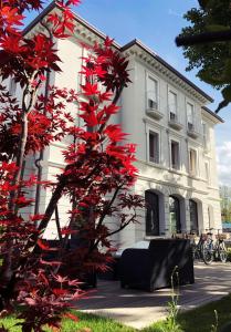 a building with a red tree in front of it at Villa Italia in Cesenatico
