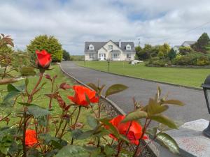 Zahrada ubytování Bayview Country House B&B - F94 VK64
