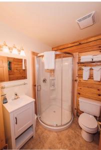 a bathroom with a shower and a toilet and a sink at Across the Creek Cabins in Clearwater