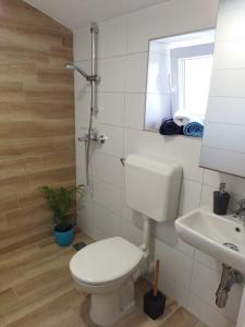 W łazience znajduje się toaleta, umywalka i lustro. w obiekcie Holiday home Silva w mieście Peruški