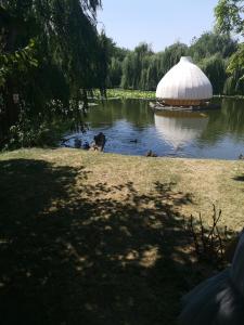 a pond with a tent in the middle of a park at Bloom Box Apartments in Craiova