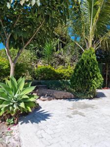 Um jardim em Pousada Primavera