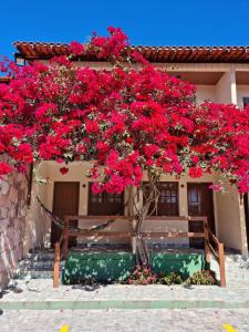 Um jardim em Pousada Primavera