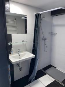 un bagno con lavandino e doccia di Varkerulet Apartman a Sárvár