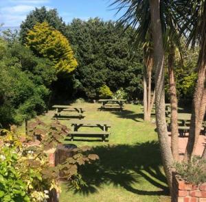 a group of picnic tables in a park with trees at Paul Arthurs Restaurant & Rooms - Kircubbin in Newtownards