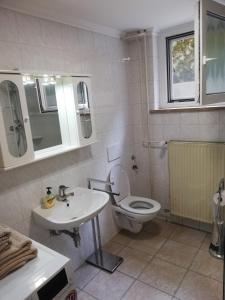 a bathroom with a toilet and a sink at Apartment Jalen in Bohinjska Bela