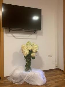 Et tv og/eller underholdning på Schilcherland-Apartment