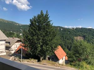 a tree on the side of a road next to a house at Apartment Elvir in Kopaonik