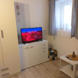 TV a/nebo společenská místnost v ubytování Apartments & room Ivica Split