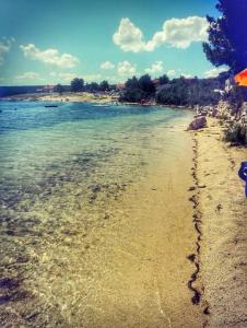 Galeriebild der Unterkunft Park in Pridraga + 18 Fotos