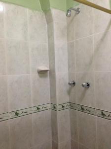 baño con ducha con azulejos verdes en Hostal Los Lirios, en Loja
