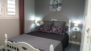 Una cama o camas en una habitación de Charmant F2 classé, belle vue mer, spa, piscine, bateau