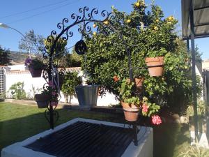 Ein Garten an der Unterkunft Casa de los Limones by Costadelsolholiday FAMILY VILLA NEAR PUERTO MARINA