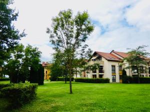 a tree in the middle of a yard with houses at Fortuna Golf Apartman in Bük