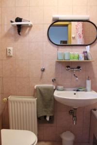 Koupelna v ubytování Studio apartman Hinko + 26 fotografií