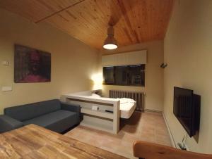 TV a/nebo společenská místnost v ubytování Apartaments Falset