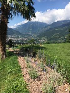 Φυσικό τοπίο κοντά σε αυτό το διαμέρισμα