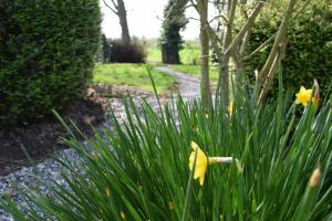 Imagem da galeria de Orchardgrove apartment em Carlow mais 15 fotografias