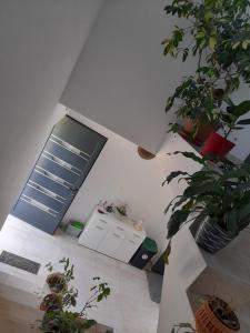 a living room with potted plants and a window at IGGY in Malinska