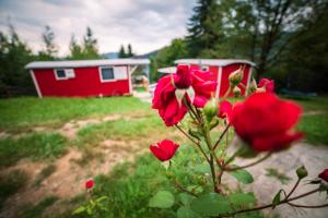 Zdjęcie z galerii obiektu RED Tiny Houses w mieście Voronet