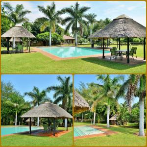 a collage of four pictures of a resort with a pool and a umbrella at Elephant Walk Retreat in Komatipoort